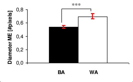 Diameter size of the median eminence (ME) in WA and BA Xenopus laevis.... | Download Scientific ...