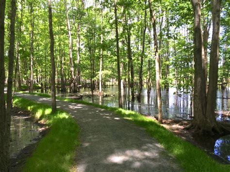 Huntley Meadows Park Wetlands and Boardwalk Trail in Northern VA