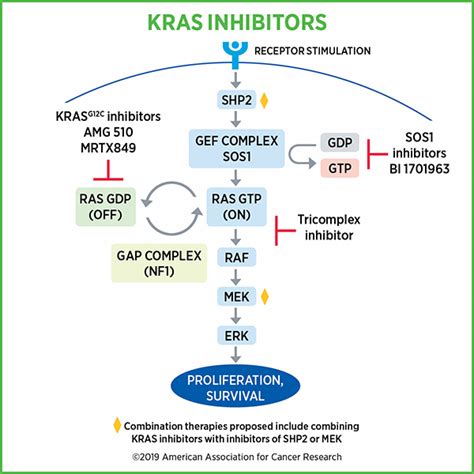 Molecular Targets 2021: The Latest Efforts to Overcome Resistance to ...