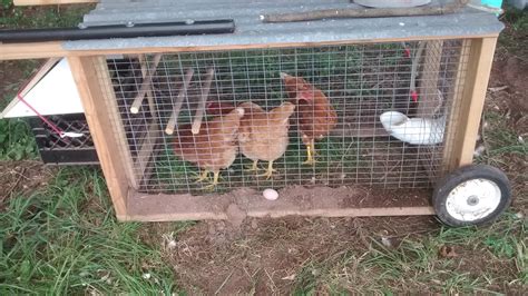 Backyard Chicken Pen Plans (holds 3 birds) - Sunnyside Farm