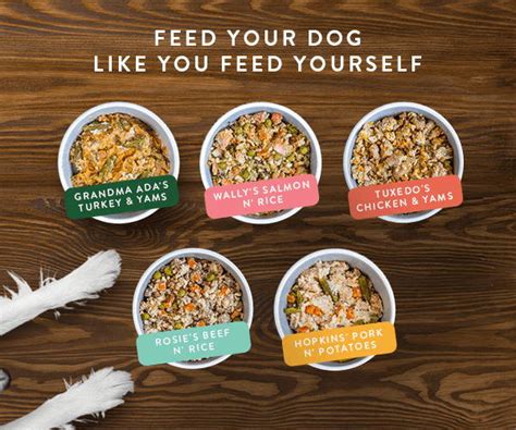 Fresh Dog Food Toppers | Senior Dogs, Picky Eater Dogs – Portland Pet Food Company