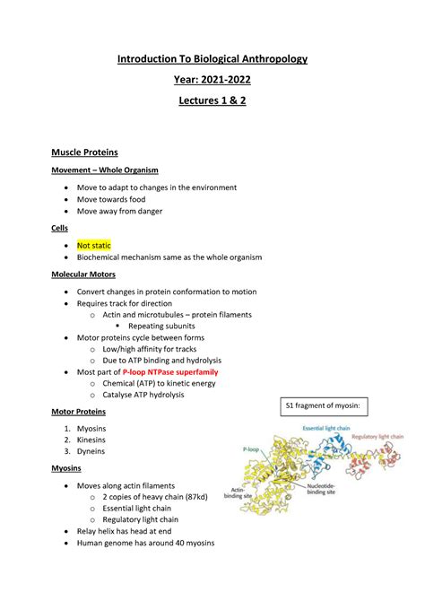 Introduction To Biological Anthropology 20212022 lectures 1and2 ...