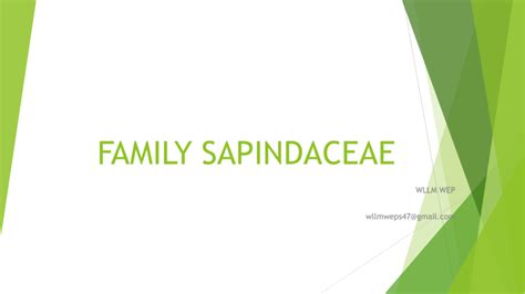 FAMILY SAPINDACEAE