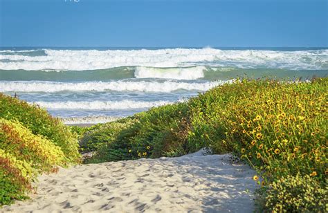 North Padre Island National Seashore Beach Photograph by Tom Garrett - Pixels