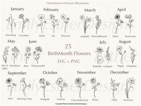 Birthmonth Svg Bundle Flower Svg Birth Flower Svg Floral - Etsy UK