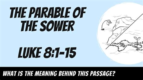 Parable of the Sower (Luke 8:1-15) Explained - Luke 8:1-15 - Bible Portal