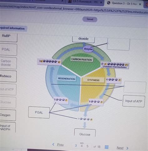 arbon reactions: reactants and products e image below | Chegg.com