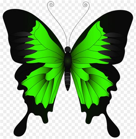 Green Butterfly Clipart Png Photo - 47597 | TOPpng