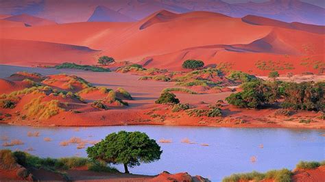 Namib Desert sand dunes scenery, Sossusvlei, Namibia | Windows Spotlight Images