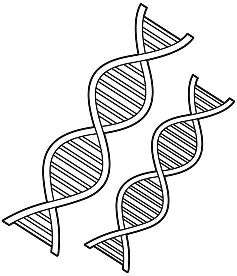 DNA coloring page - ColouringPages