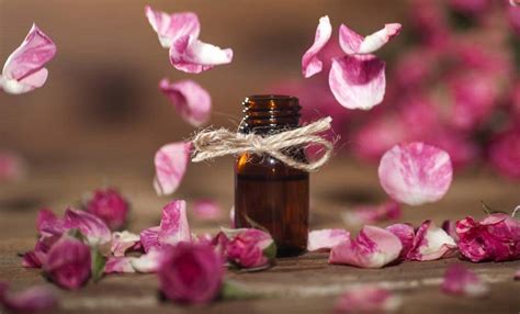 7 Benefits of Rose Oil (Infographic)