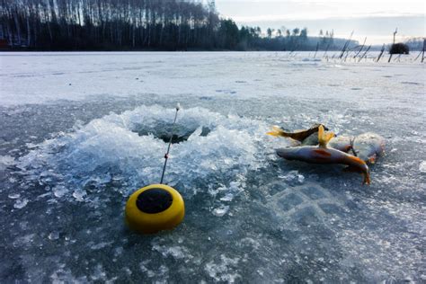 Top 7 Places to Go Ice Fishing in Michigan - Fishmasters.com