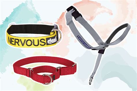 Are Shock Collars Used To Train K9 Dogs