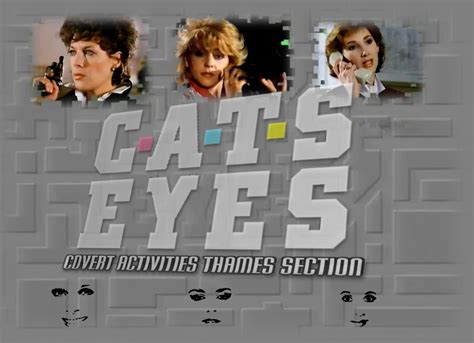 Tracy Louise Ward | cats-eyes