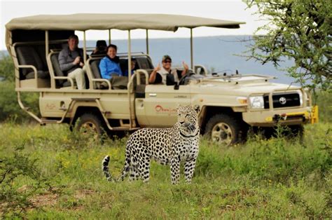 How to Plan an African Safari on a Budget | Safari Tips