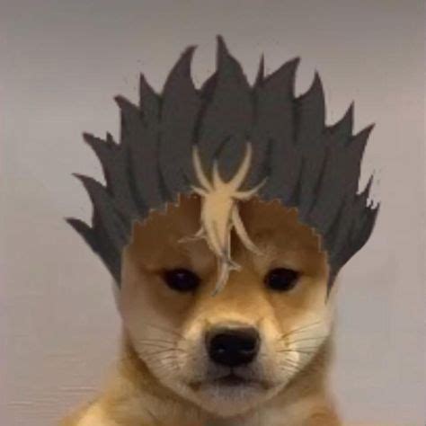 Doge Anime Girl Pfp