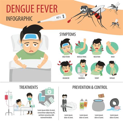 Dengue Outbreak In Delhi: Type-2 Strain Detected In Patients, Preventive Guidelines Rolled Out ...