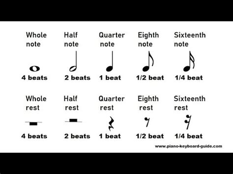 Types of Notes and Rests, Values or Duration - Music Theory - YouTube