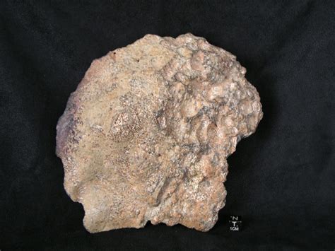 Meteorites For Sale - NWA 11107 Eucrite Melt Breccia - 1 of only 11 ...