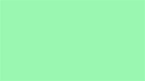 Light Sea Green Solid Color Background Image | Free Image Generator