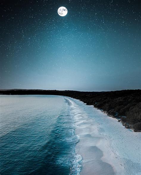 Star Night | Beach at night, Stars at night, Beautiful nature