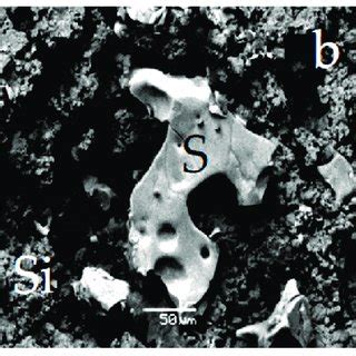 Back-scattered electron (BSE) images (unpolished sections) of extinct... | Download Scientific ...