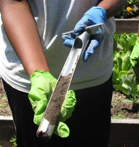 soil testing | CCE Suffolk Long Island Gardening