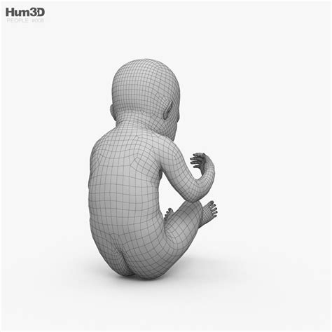 The Baby in womb 3D model | CGTrader