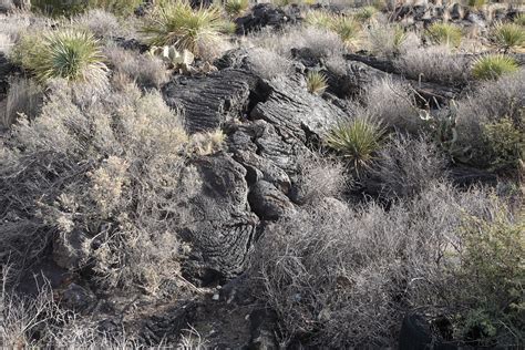 Pahoehoe lava - Carrizozo Volcanic Field, Lincoln County, … | Flickr