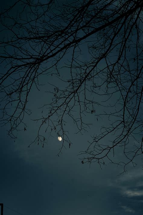 Spooky Night Sky Photos, Download The BEST Free Spooky Night Sky Stock ...