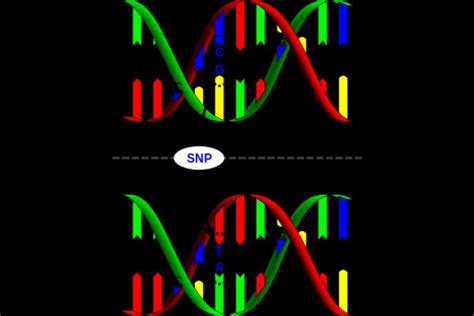 Life in the Time of Genetic Decoding - Part 2 | Forbes India Blog