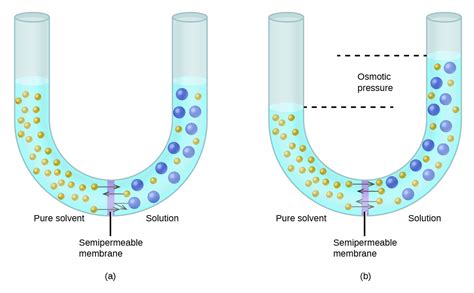 Colligative Properties | Chemistry