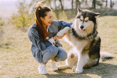 How Husky can be that CUTE and ADORABLE?!