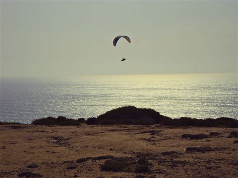 Black's Beach, San Diego, CA | Beautiful places, Beach, Favorite places