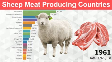 Sheep Meat Producing Countries - Highest Sheep Meat production in the World - YouTube