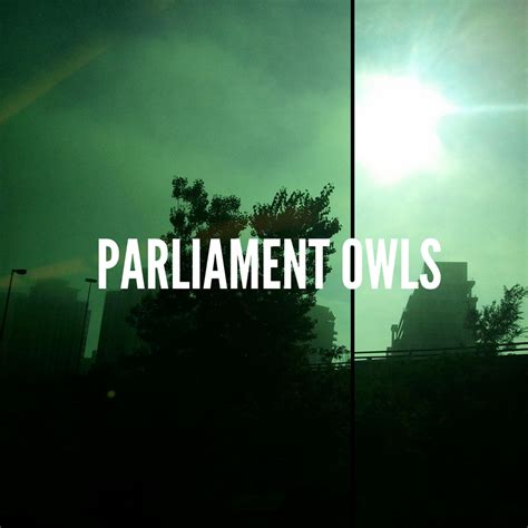 Parliament Owls | Parliament Owls