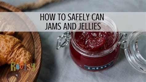 Safely Canning Jam and Jelly at Home - Rootsy Network