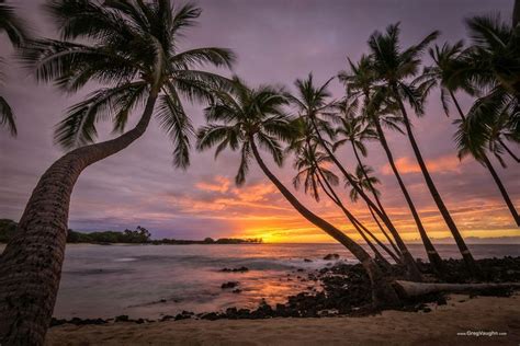 Sunset and coconut palm trees at Makalawena Beach, Kekaha Kai State ...