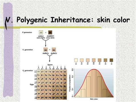 👍 Polygenic inheritance skin color. Polygenic inheritance and ...