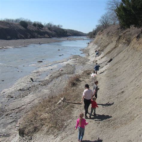 Ladonia Fossil Park is the Ultimate North Texas Adventure in 2021 | Texas adventure, Adventure ...