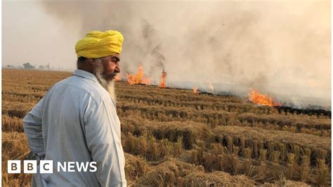 Stubble burning: Why it continues to smother north India