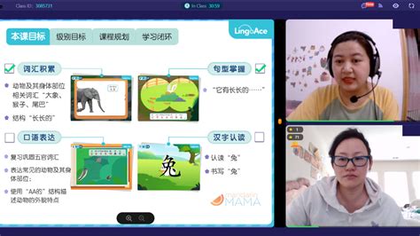 LingoAce: The Affordable and Convenient Way to Teach Kids Chinese