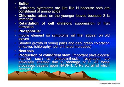 SOLUTION: Deficiency symptoms of macronutrients and micronutrients - Studypool