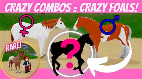 Let's breed some crazy combinations of horses! Wild Horse Island's Ep 19 // Roblox - YouTube