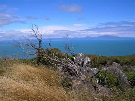 Windswept Coastline Free Photo Download | FreeImages