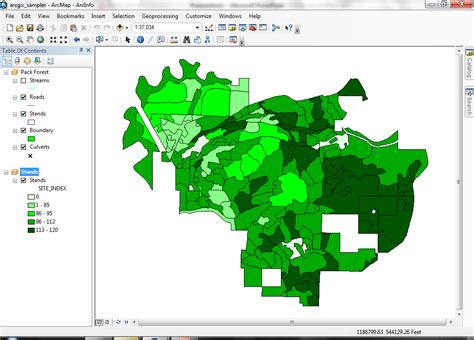 Using ArcMAP