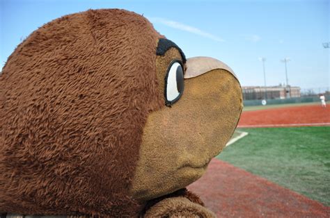 MSealPhoto: Maryland Terps mascot Testudo - College Park, MD