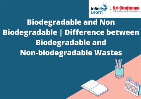 Biodegradable vs. Non-Biodegradable: Impact on Environment & Sustainability