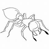 Coloring Pages Of Ant sketch template