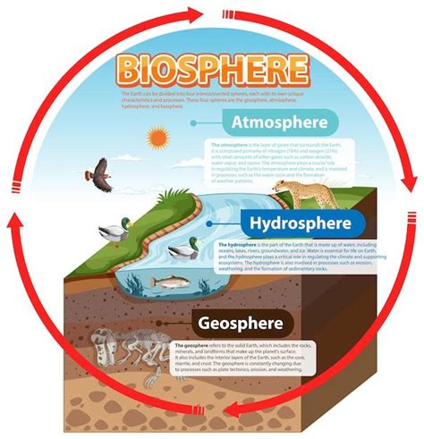 a diagram showing the different types of biosphere and how they are used